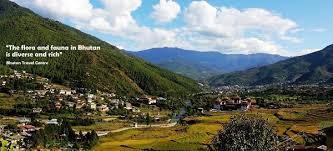 Manufacturers Exporters and Wholesale Suppliers of Nature tour Bhutan Silguri West Bengal